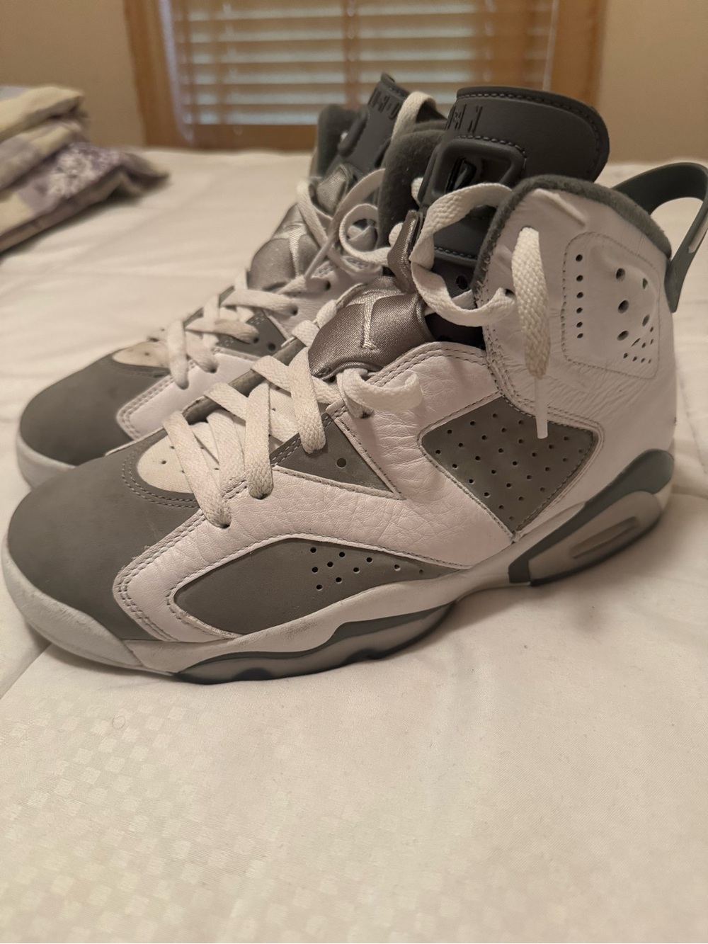 Jordan 6 Sneakers